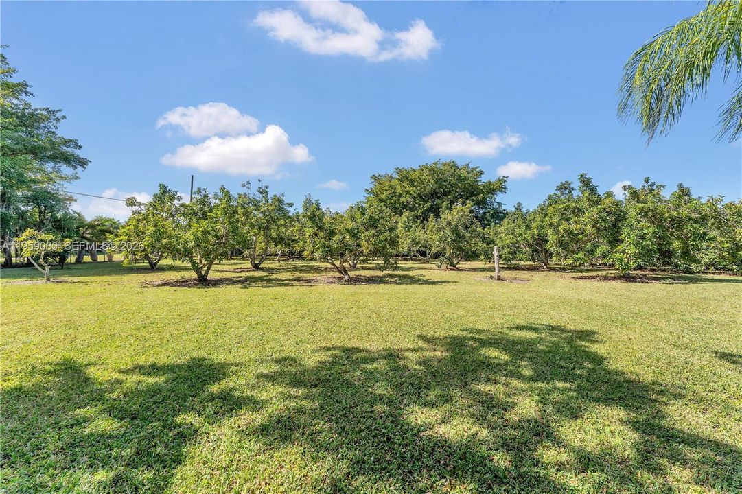 Recently Sold: $1,300,000 (4 beds, 3 baths, 2434 Square Feet)