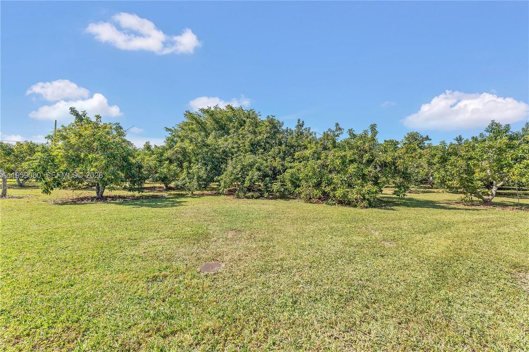 Recently Sold: $1,300,000 (4 beds, 3 baths, 2434 Square Feet)