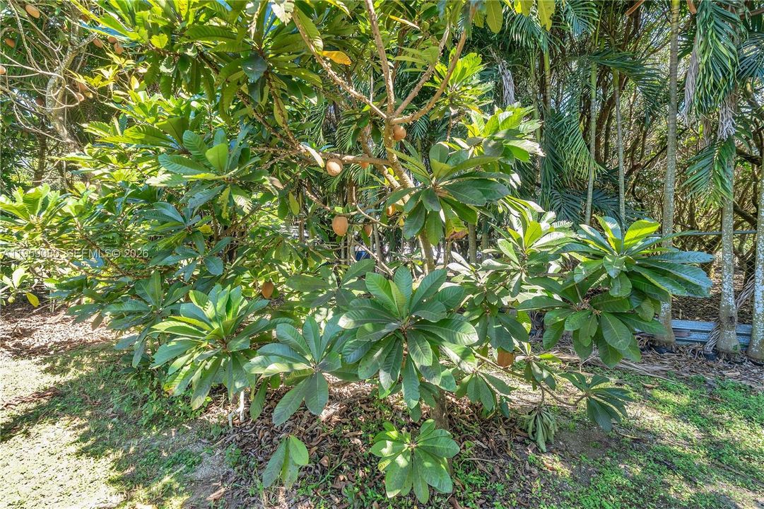 Recently Sold: $1,300,000 (4 beds, 3 baths, 2434 Square Feet)