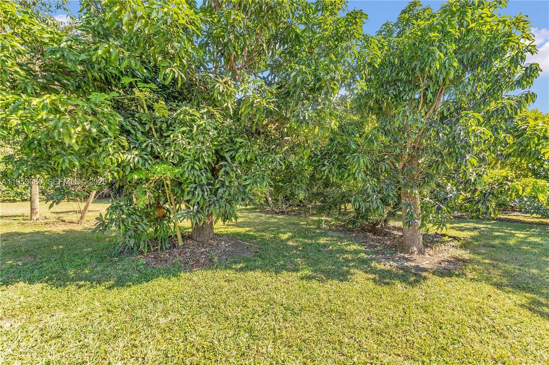 Recently Sold: $1,300,000 (4 beds, 3 baths, 2434 Square Feet)