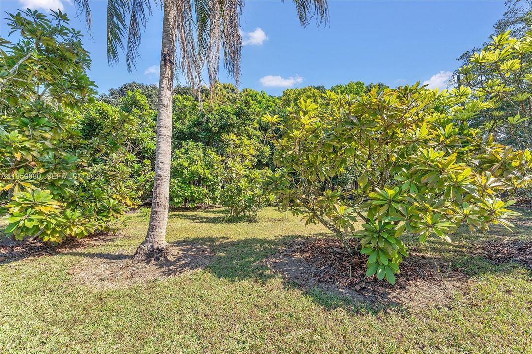 Recently Sold: $1,300,000 (4 beds, 3 baths, 2434 Square Feet)