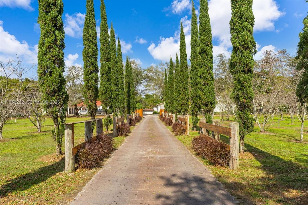 IT. CYPRESS LINED DRIVEWAY