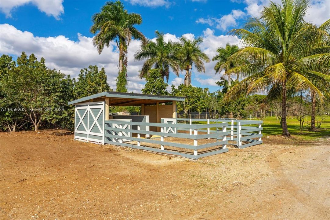 TOO CUTE FOR 2 PONIES..EASY TO ENCLOSE A LARGE PASTURE AND HAVE AN ASST OF PETTING ANIMALS FOR AFTERNOON PARTIES