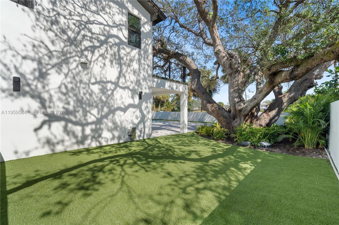 Backyard
