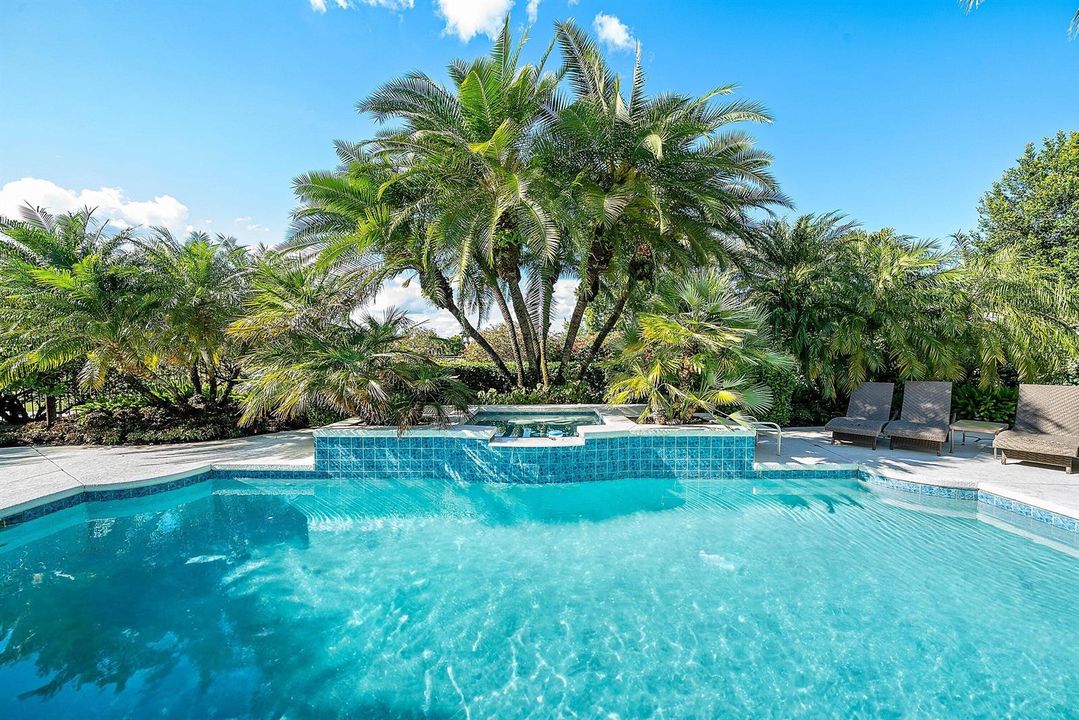 Pool and Spa