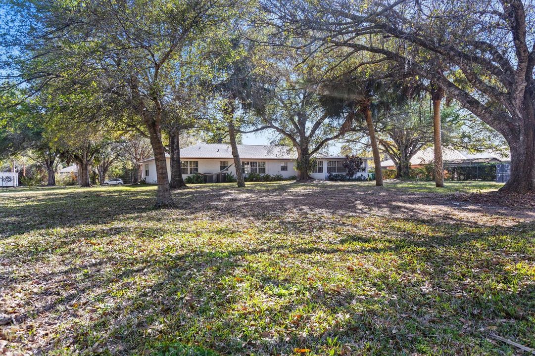 32-web-or-mls-0V8A6981