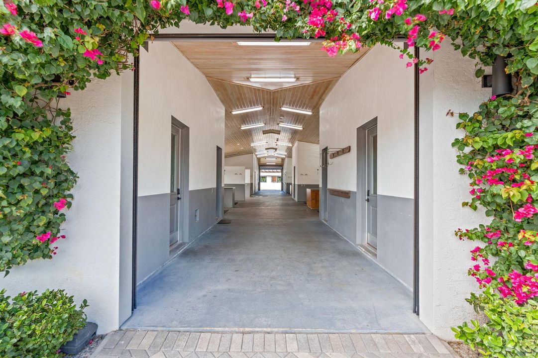 32-web-or-mls-A7408837