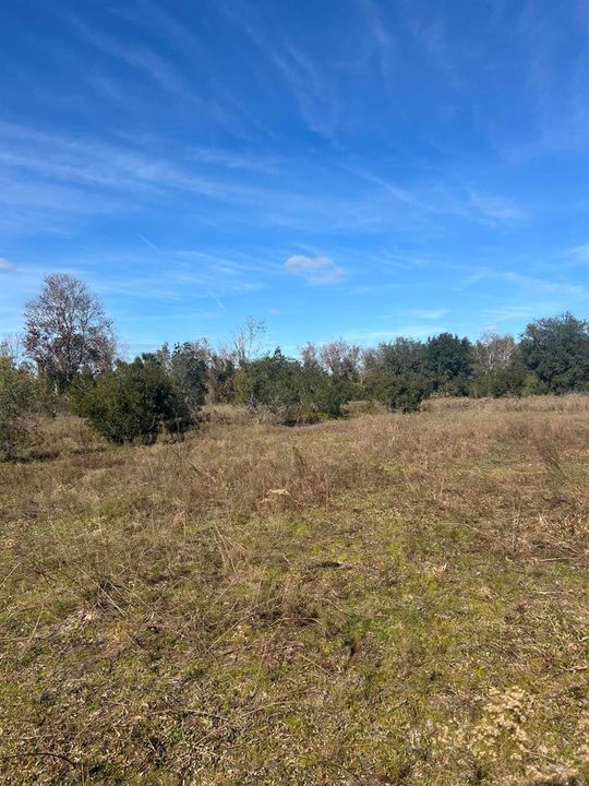 IMG_1622