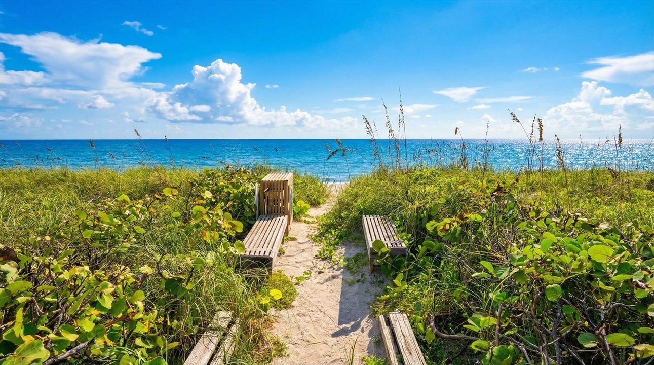 Beach Access