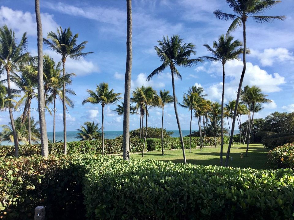 Green area next to the pool facing the ocean.