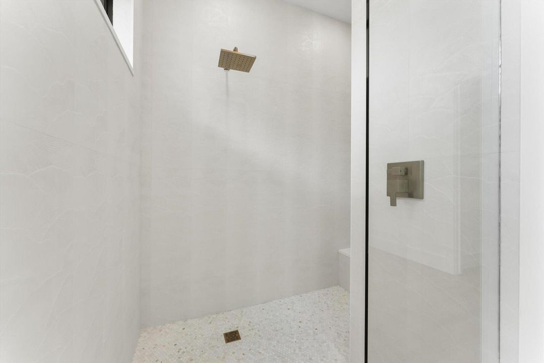 Primary Shower