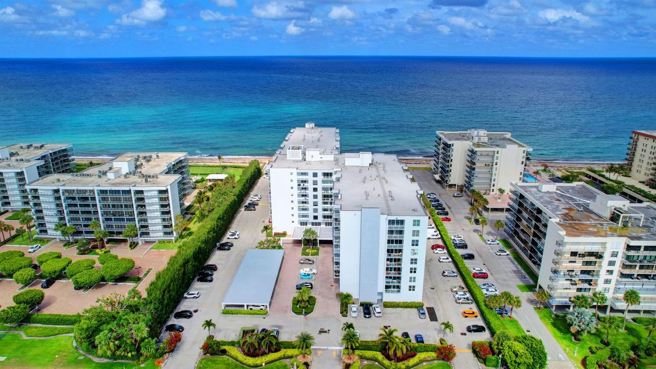 The Patrician Palm Beach