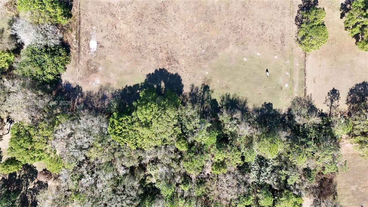 待售: $350,000 (5.00 acres)