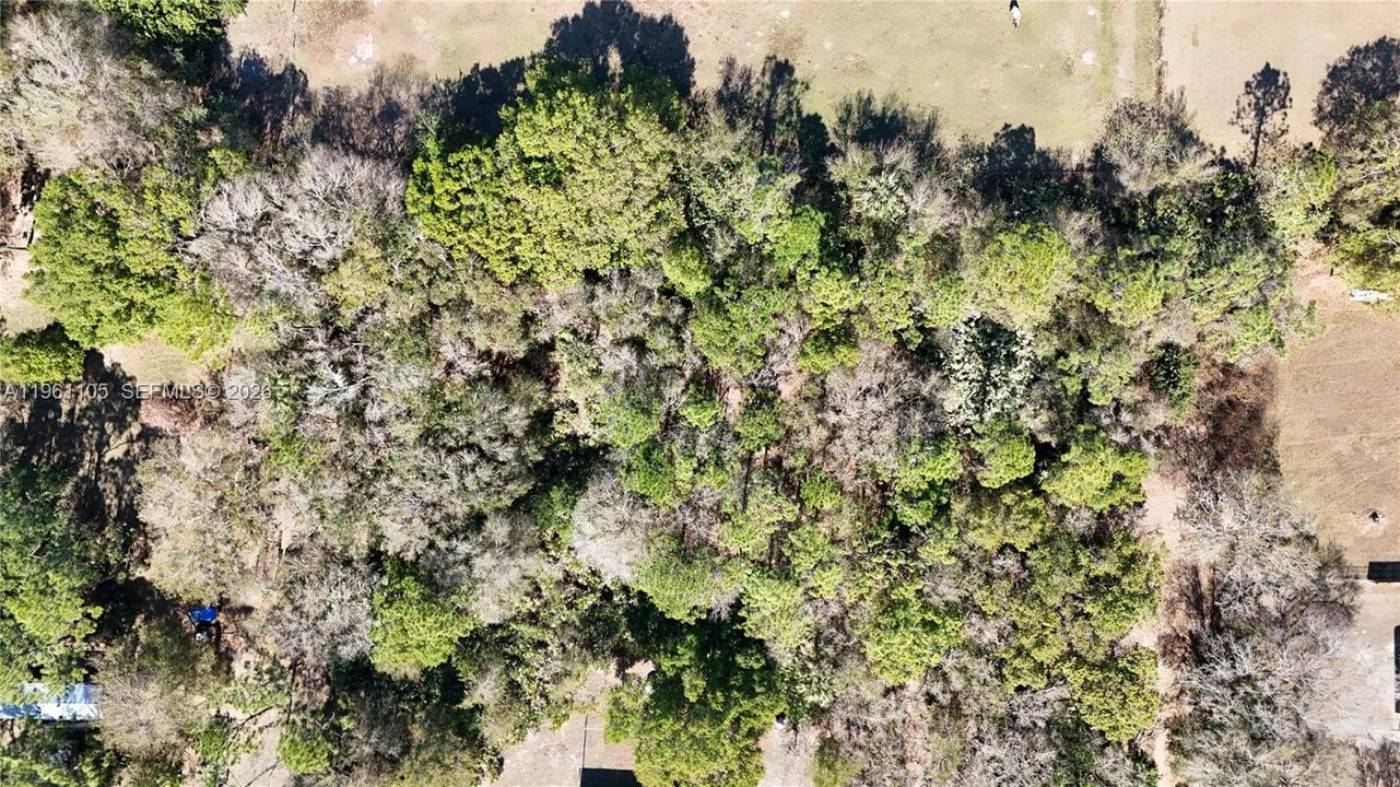 待售: $350,000 (5.00 acres)