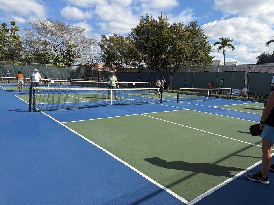 Pickleball court