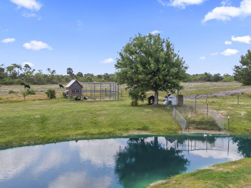 44-web-or-mls-DJI_0214