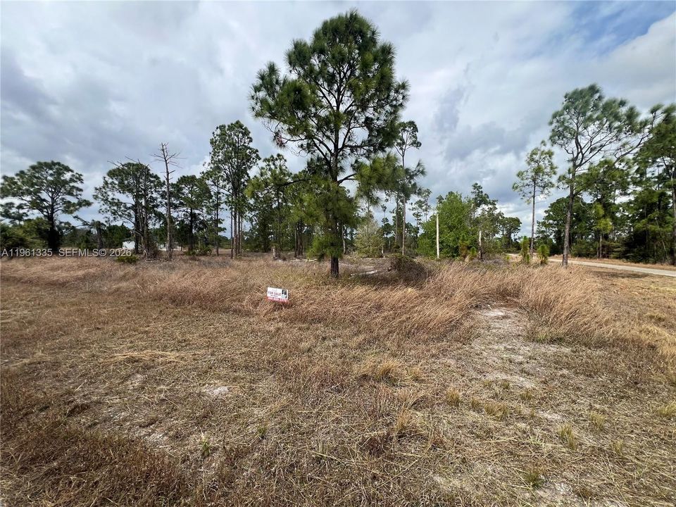 待售: $20,000 (0.29 acres)
