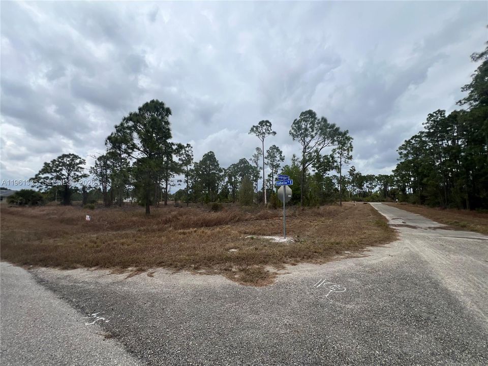 待售: $20,000 (0.29 acres)