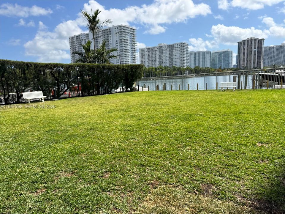 NEW DOG PARK!