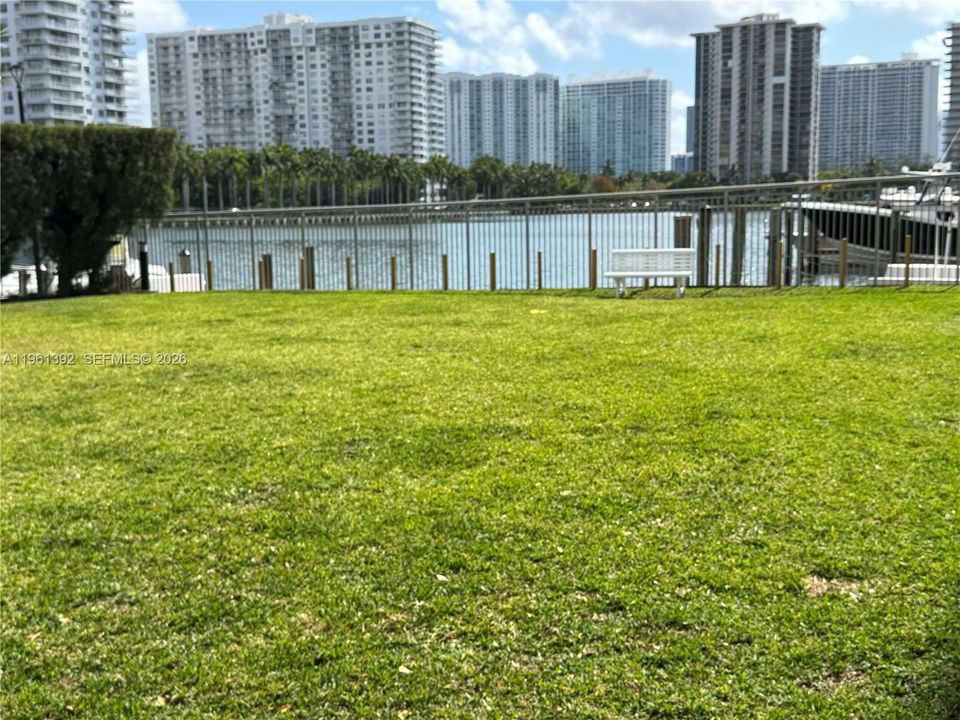 NEW DOG PARK!