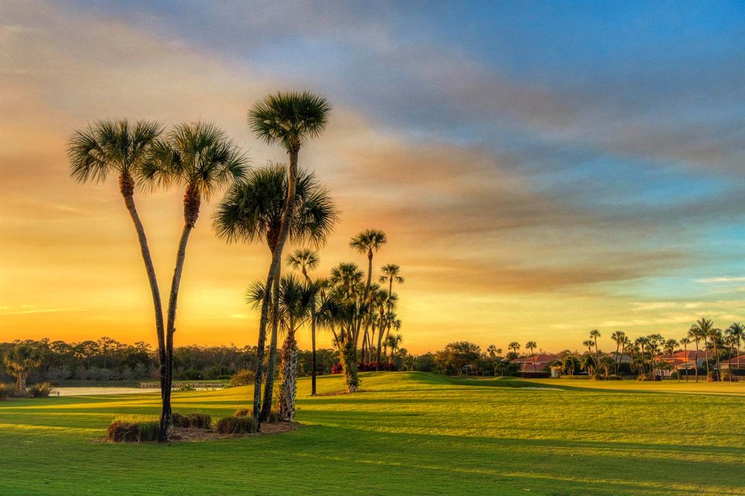 Golf Course Views
