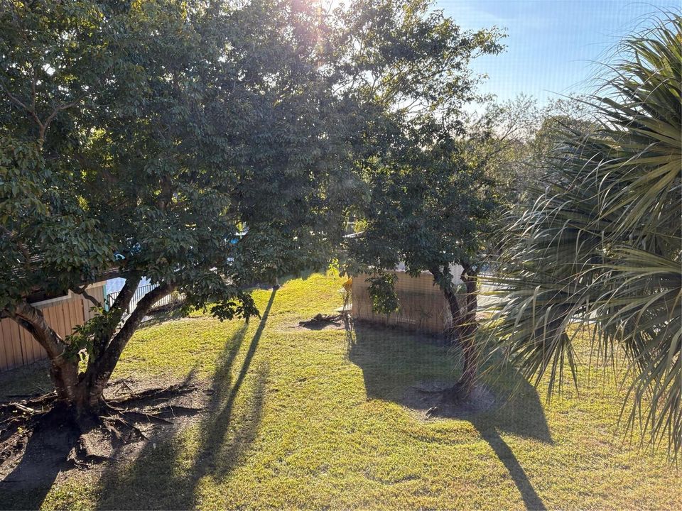 VIEW FROM PATIO