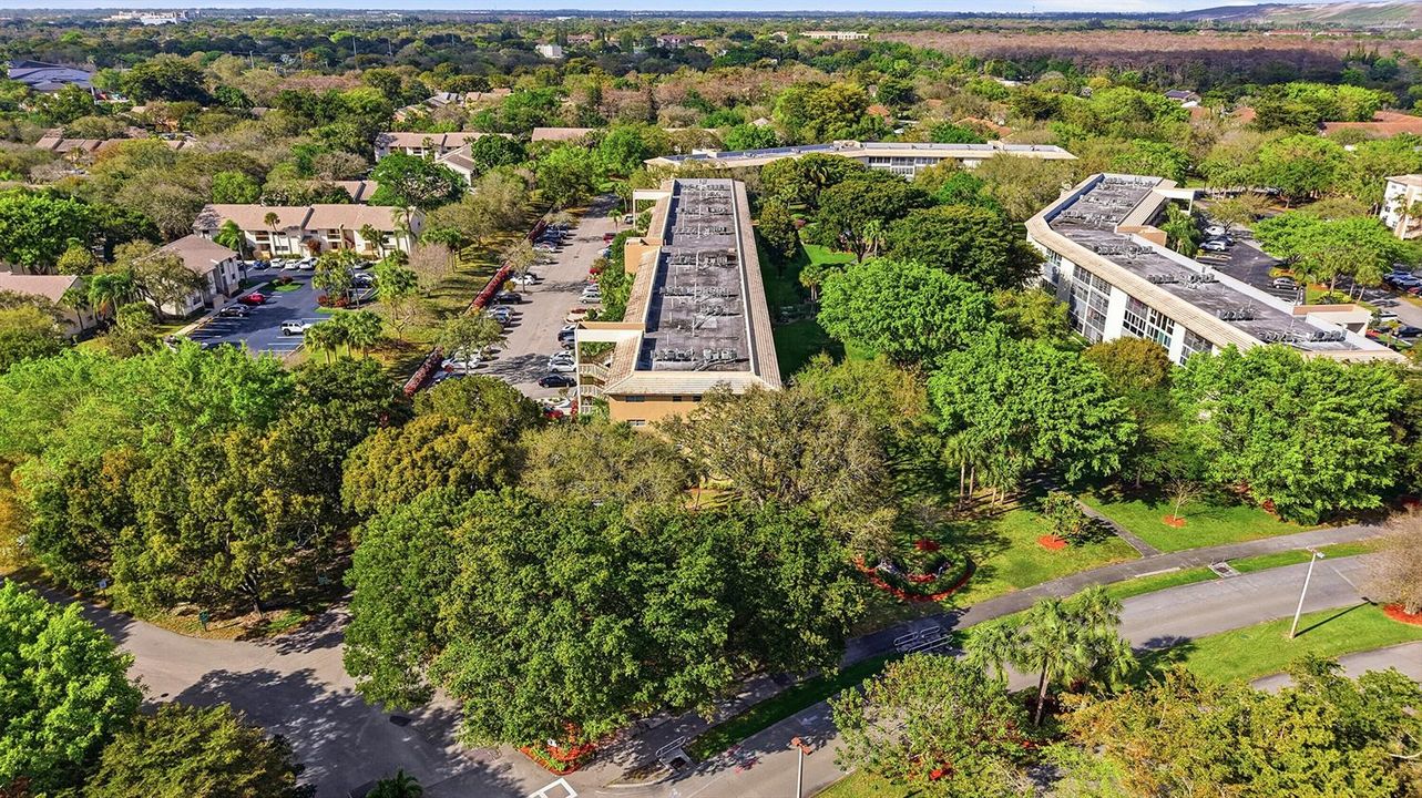 34_dji_20260307043442_0189_d