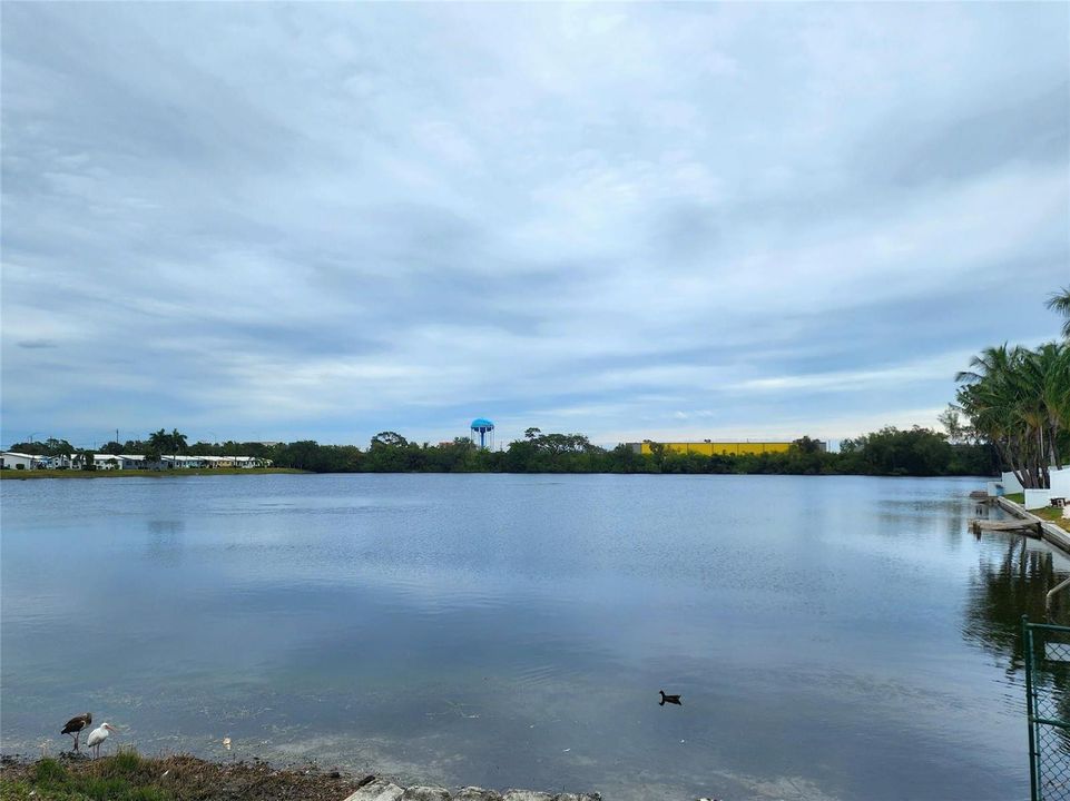 Serene and Tranquil.