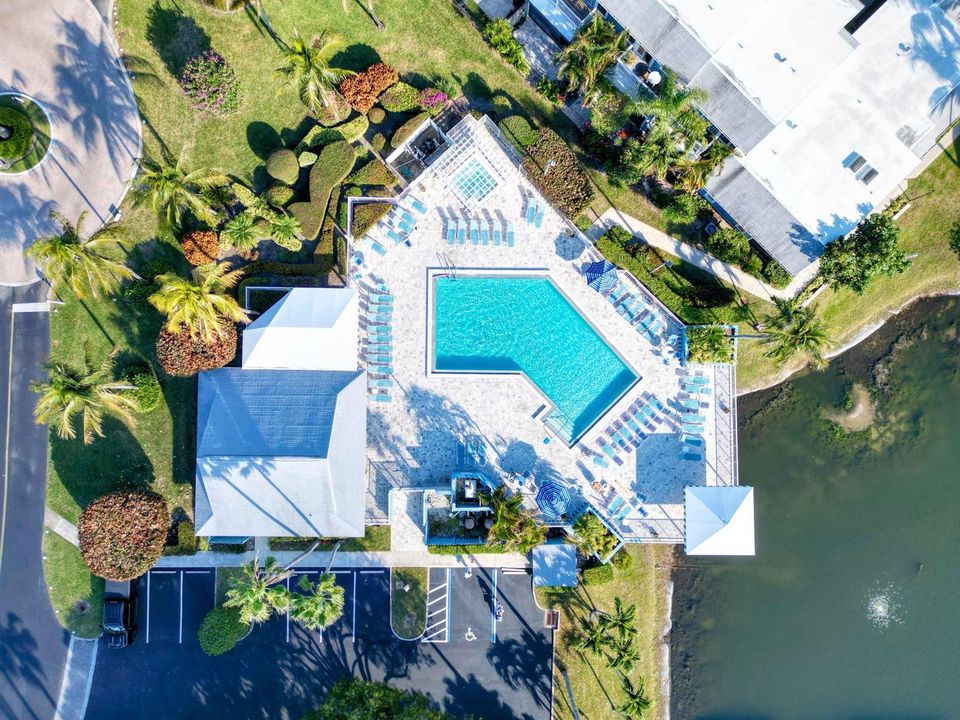 Pool & Jacuzzi