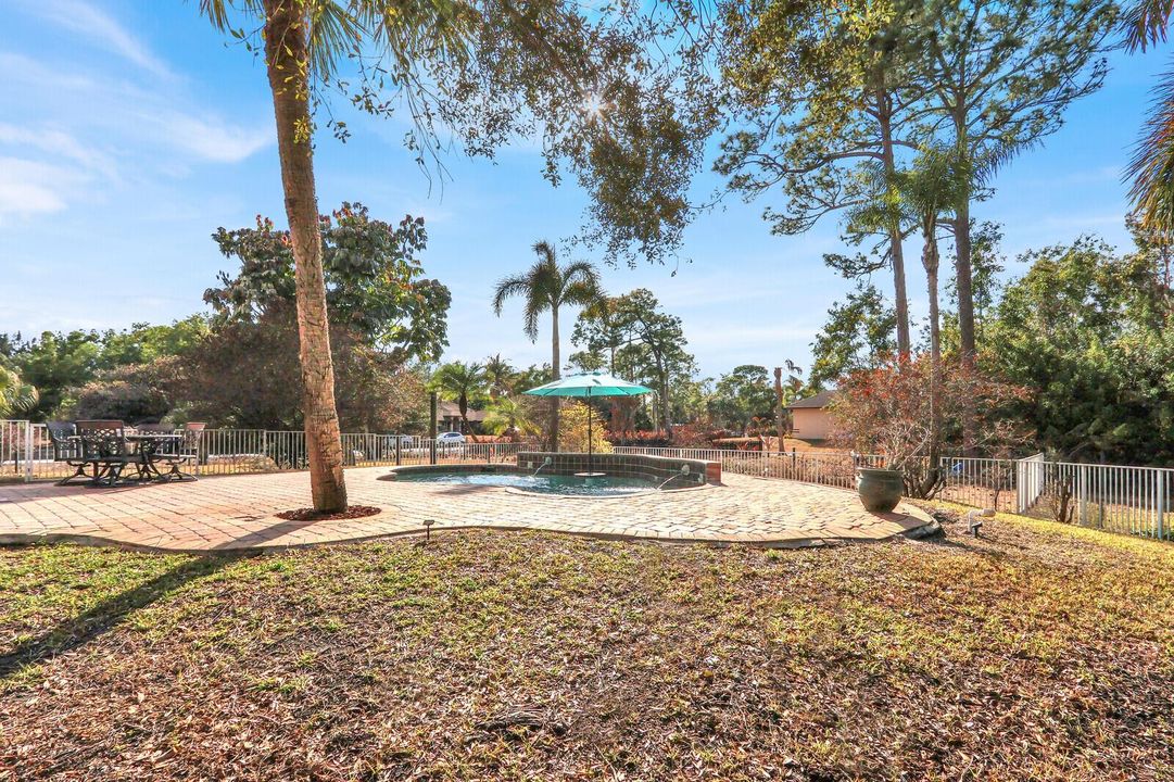 Backyard Pool