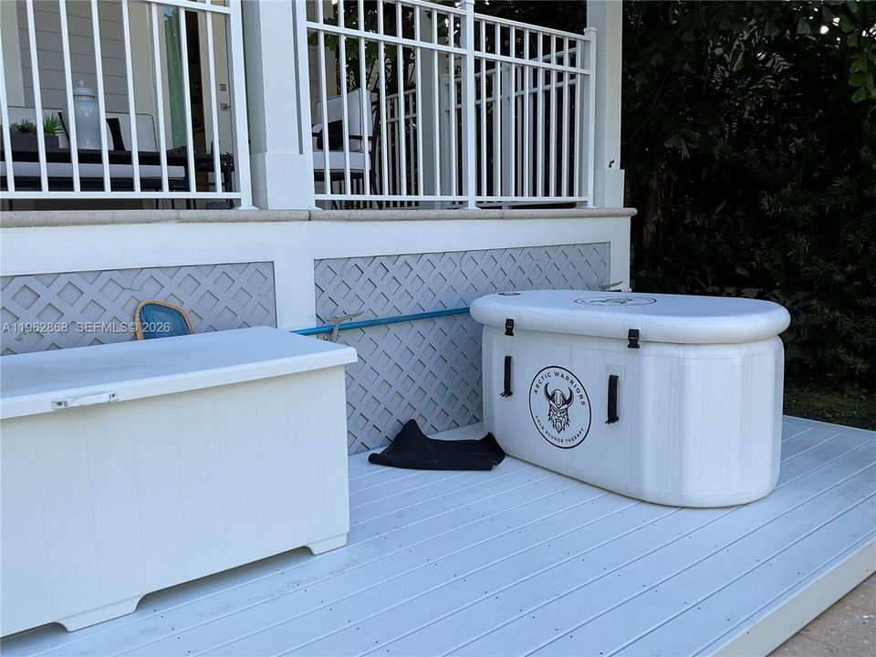 plung pool