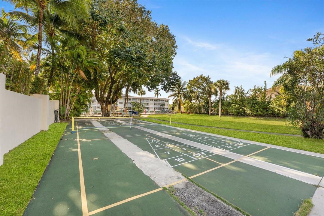 Shuffleboard