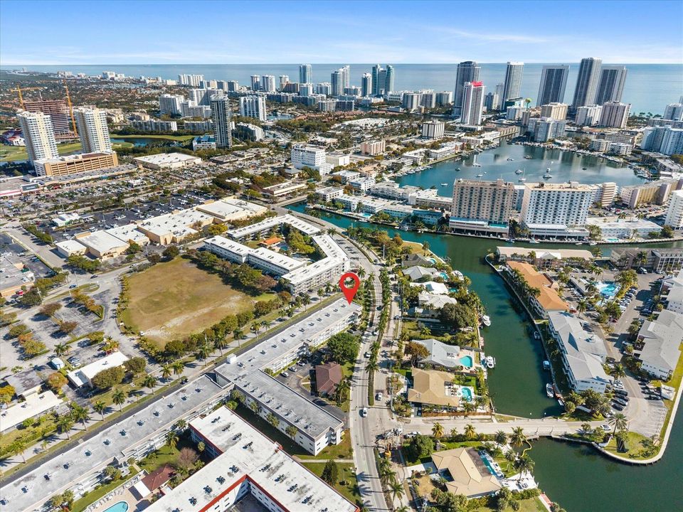 Aerial Neighborhood
