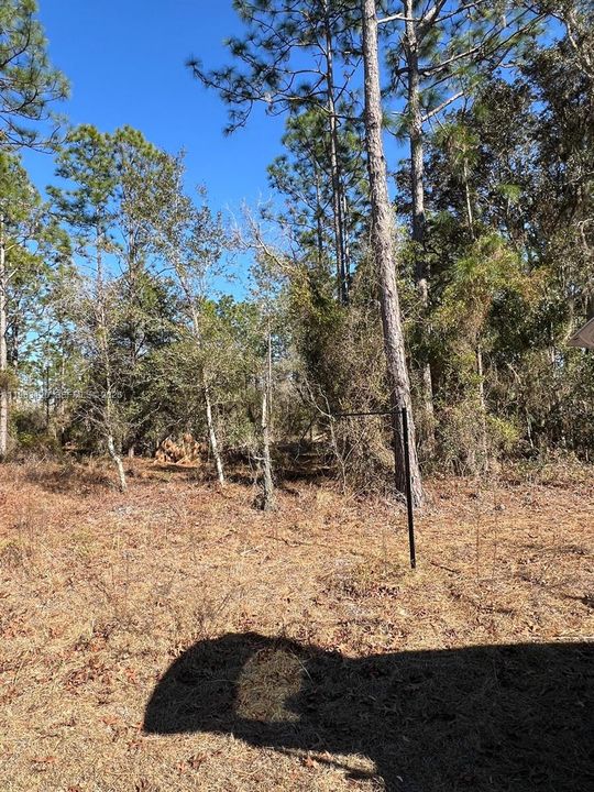 На продажу: $75,000 (1.00 acres)