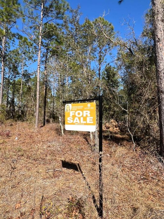 На продажу: $75,000 (1.00 acres)