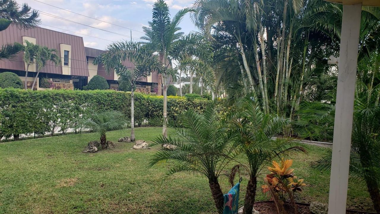 front yard