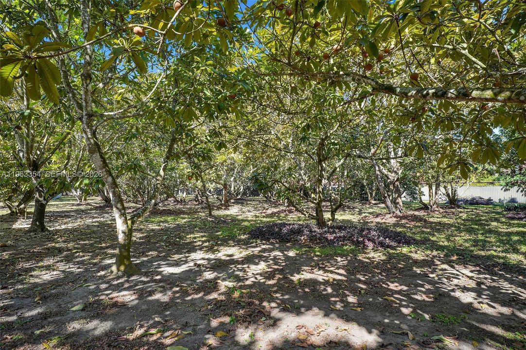 En Venta: $3,000,000 (7 camas, 6 baños, 4979 Pies cuadrados)