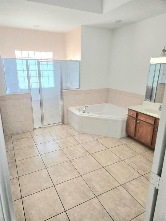 Master bathroom