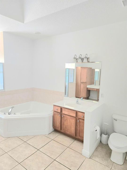 Master bathroom