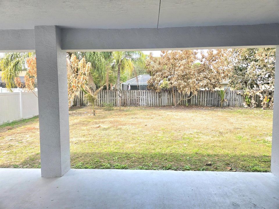 Backyard