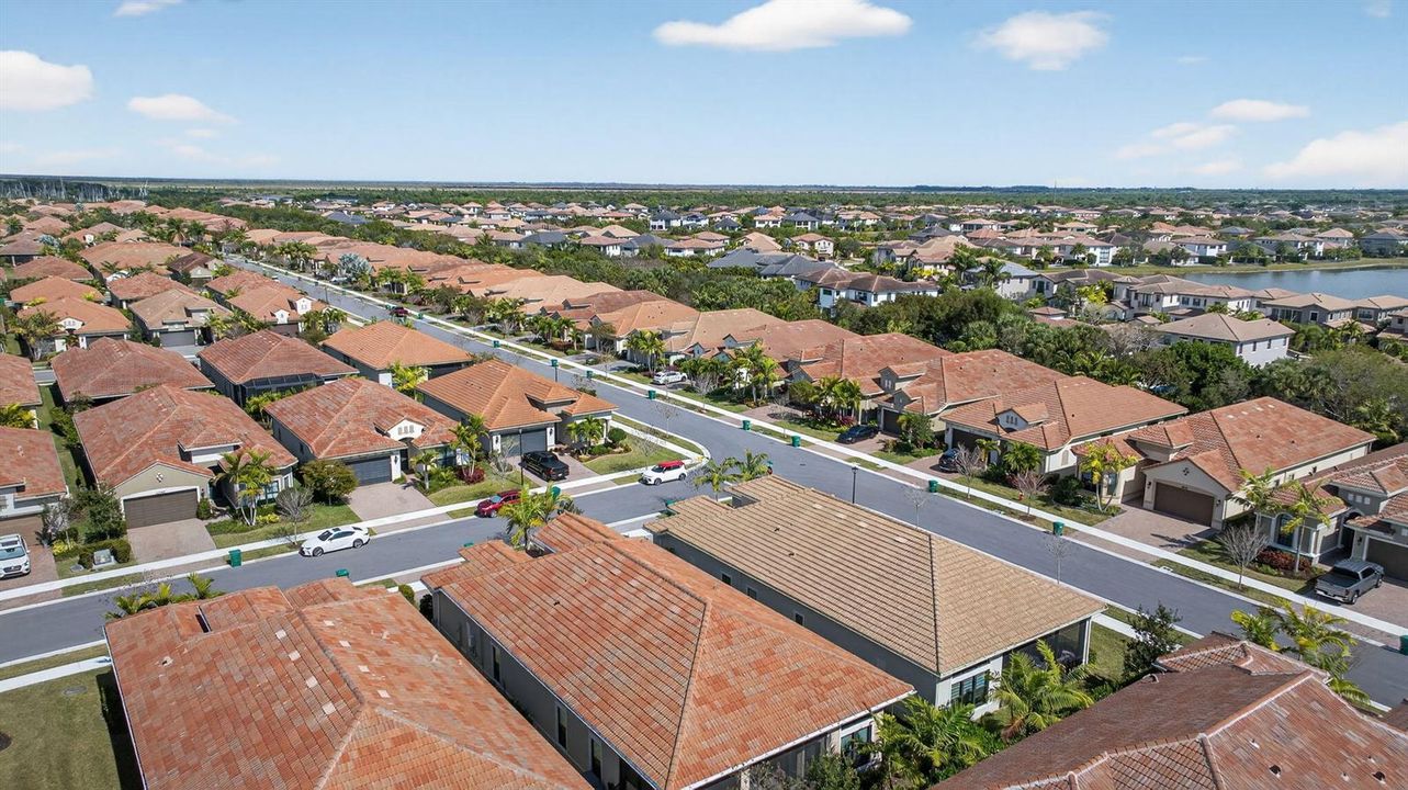 51-web-or-mls-11746--8