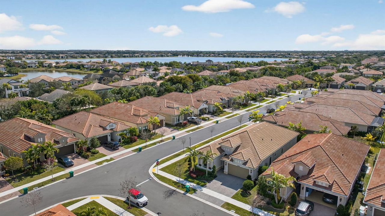 50-web-or-mls-11746--7