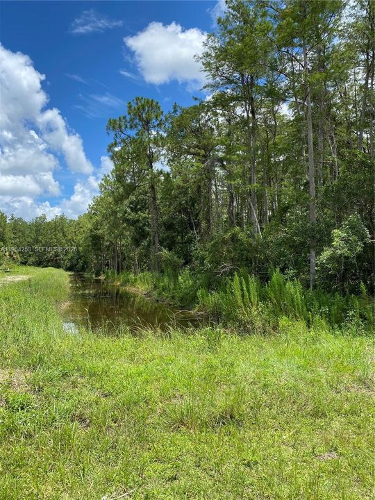 For Sale: $295,000 (59,372.00 acres)