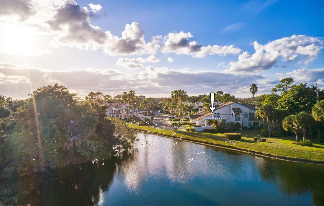 DJI_0092_DxO