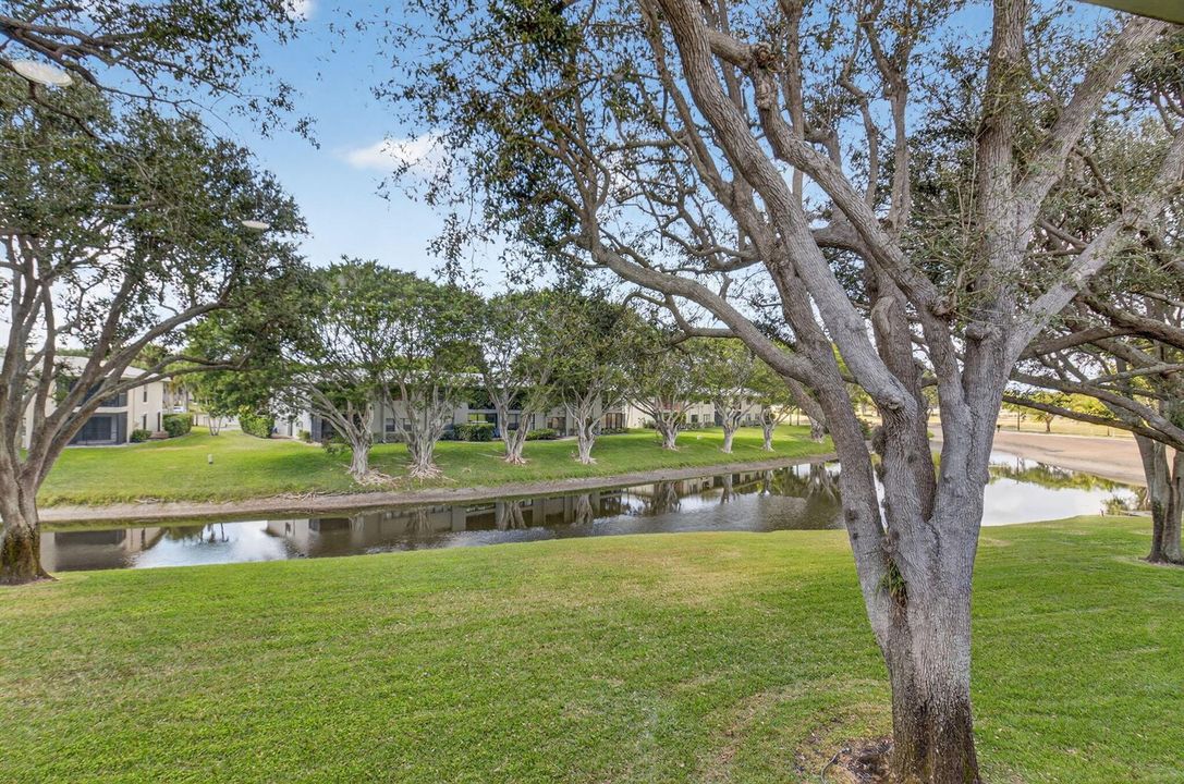 Lake Front View