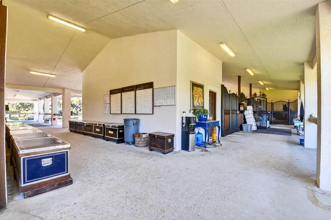 54-web-or-mls-DSC_1051