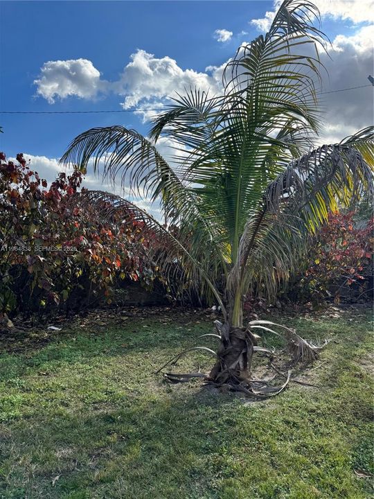 En Venta: $725,000 (0 camas, 0 baños, 2625 Pies cuadrados)