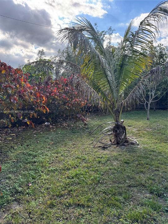 En Venta: $725,000 (0 camas, 0 baños, 2625 Pies cuadrados)