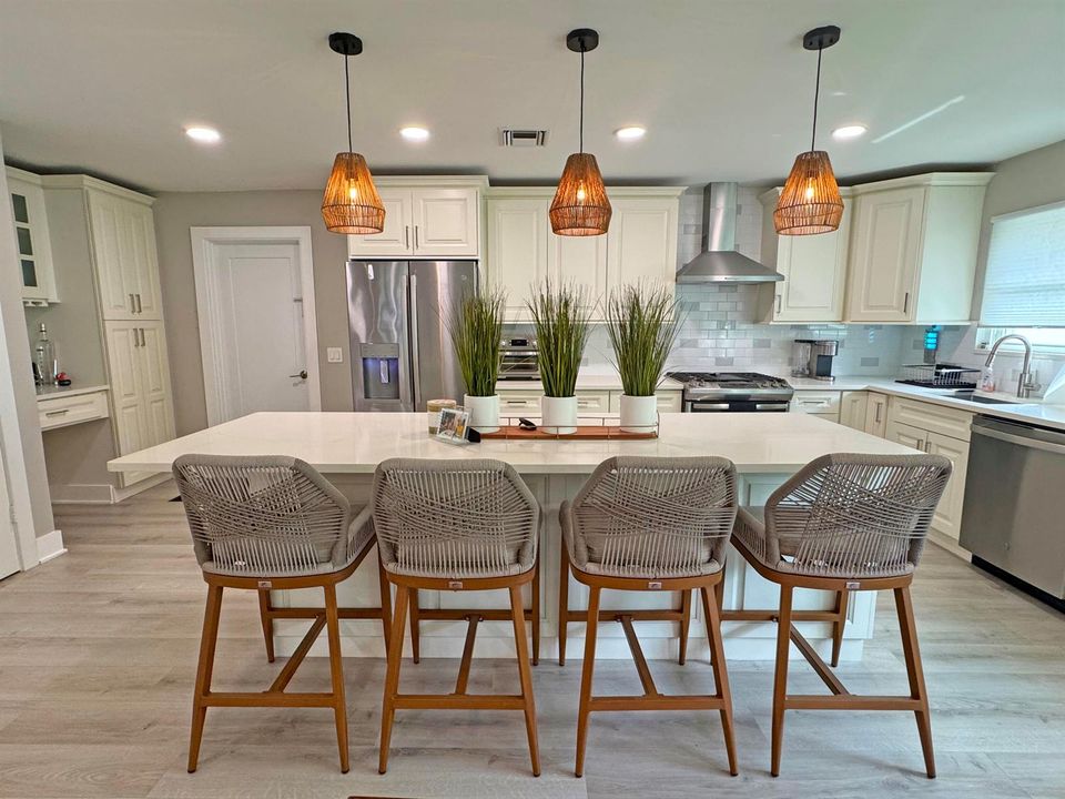 Modern Kitchen Remodel