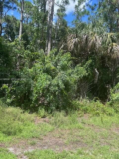 For Sale: $55,000 (0.28 acres)